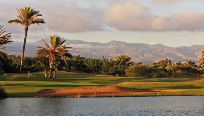 98b24b3d11900f5eceb595fdca69de07